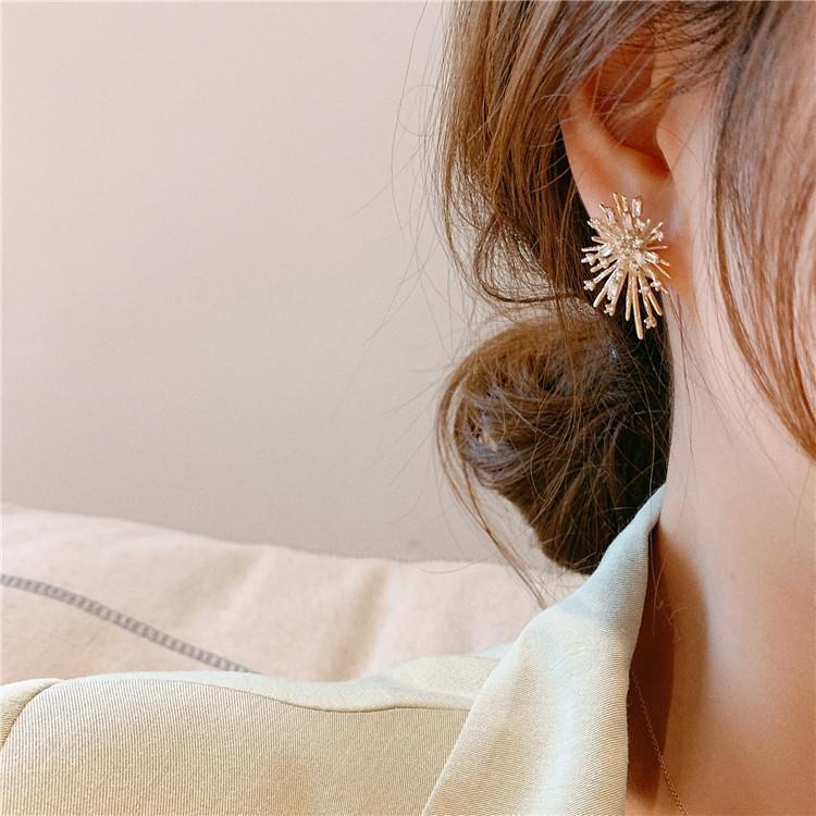 Fireworks Zircon Stud Earrings
