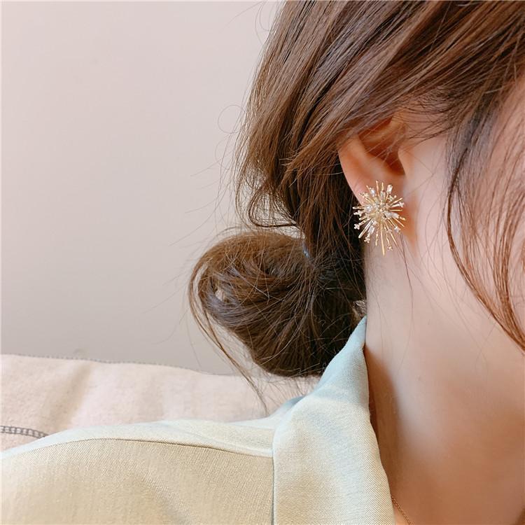 Fireworks Zircon Stud Earrings
