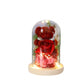 Eternal Preserved Rose Gift Box With Bear & Lights