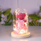 Eternal Preserved Rose Gift Box With Bear & Lights