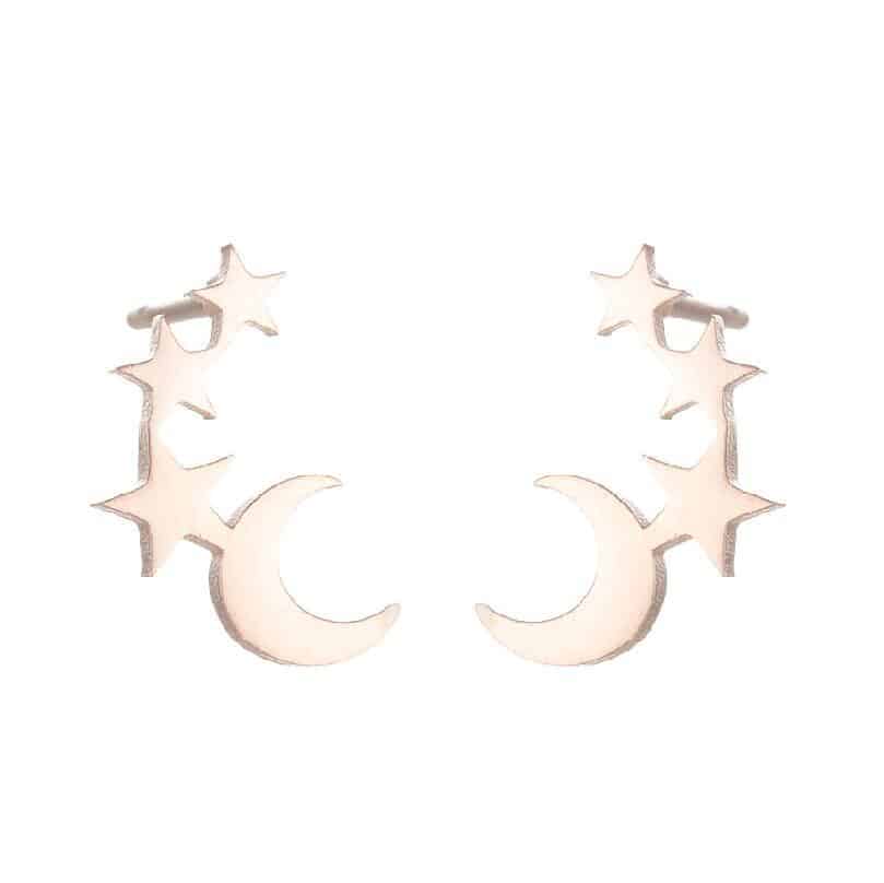 wide range of stainless steel stud earrings rose gold moon